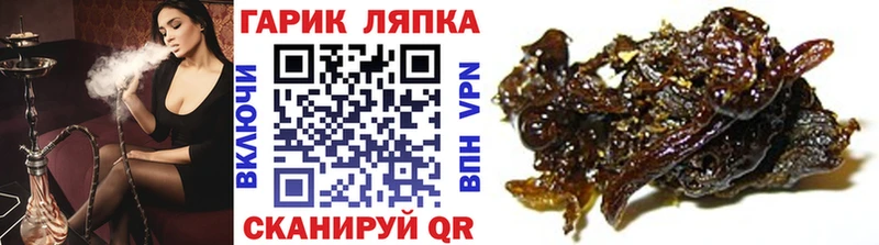 ГАШ гарик  Западная Двина 