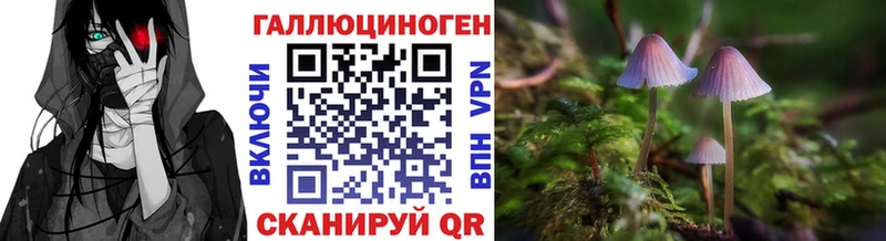 Псилоцибиновые грибы Magic Shrooms Западная Двина